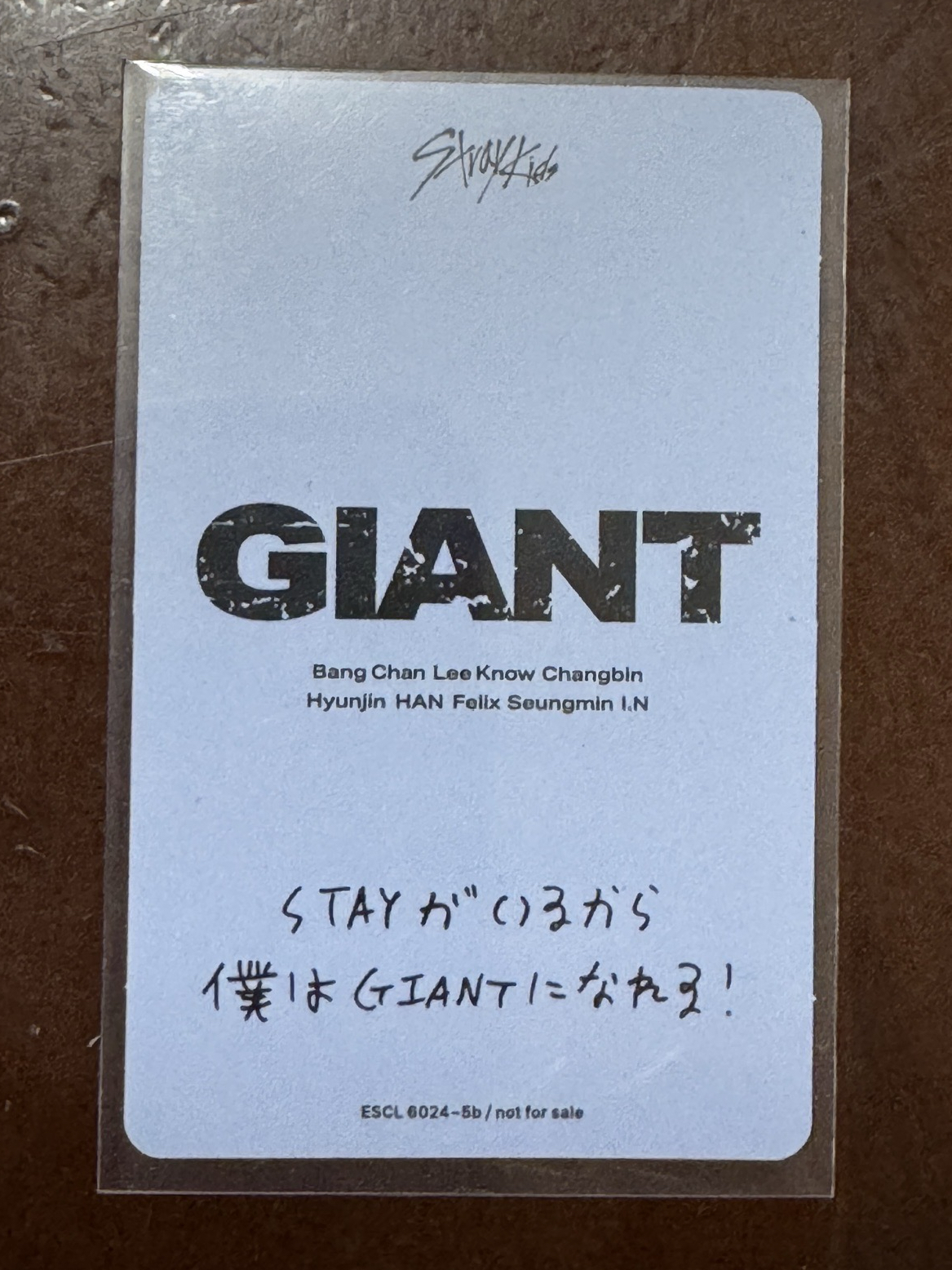 GIANT專卡 玟