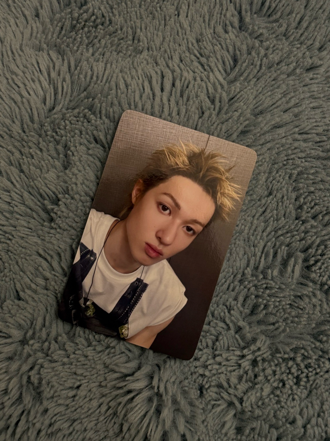 CORTIS 日咖LD 馬丁 好價出