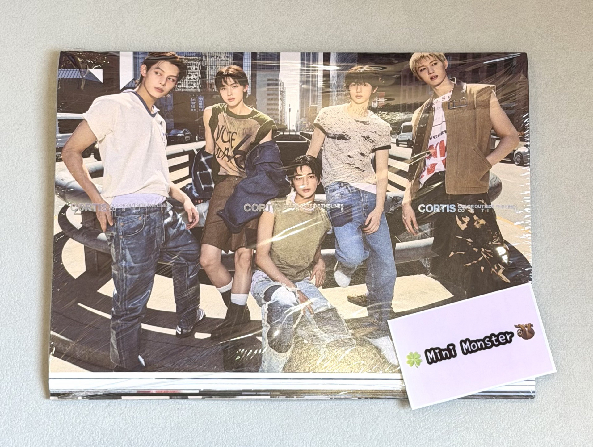 🍀Mini Monster🦥 迷一未拆專