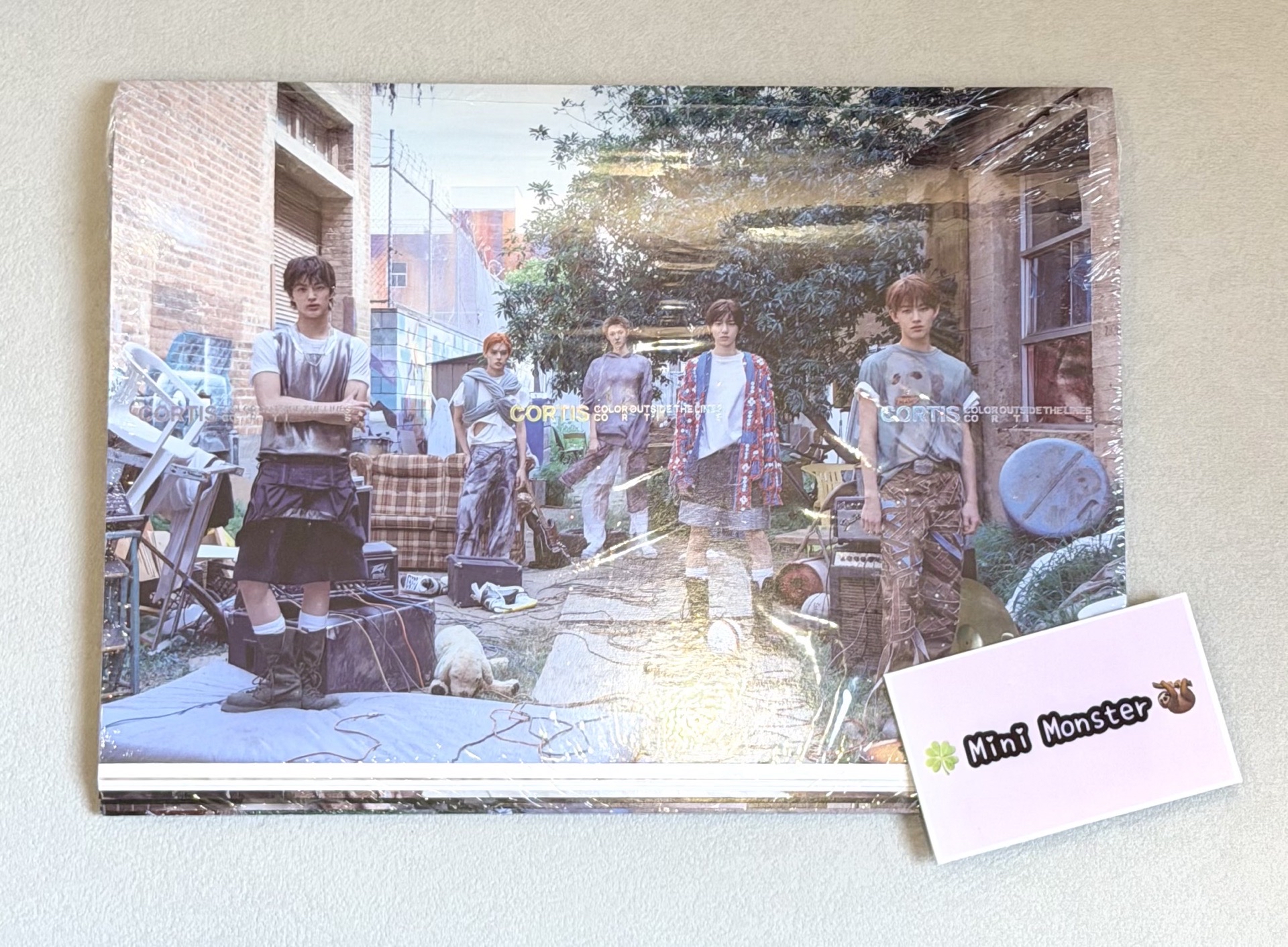 🍀Mini Monster🦥 迷一未拆專