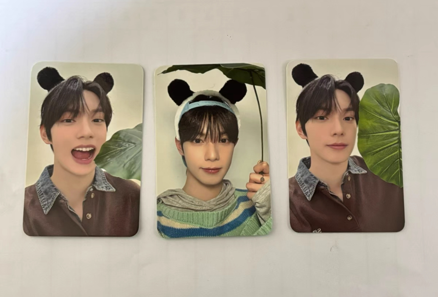 崔立于 el線下簽售卡 特典卡 熊貓