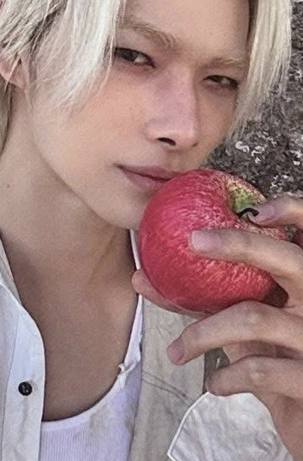 迷七sc蘋果小力