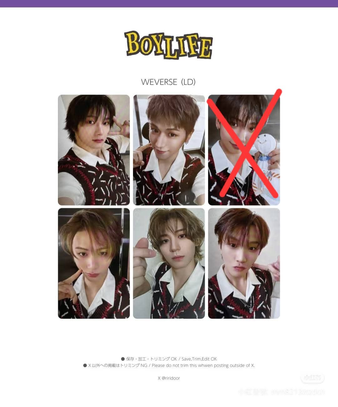 boylife Weverse LD特典