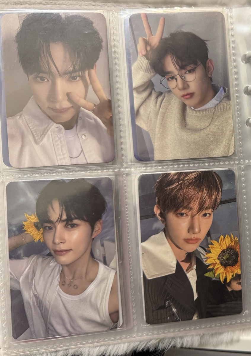 Zerobaseone 成韓彬 章昊 快閃店小卡 眼鏡昊 向日葵