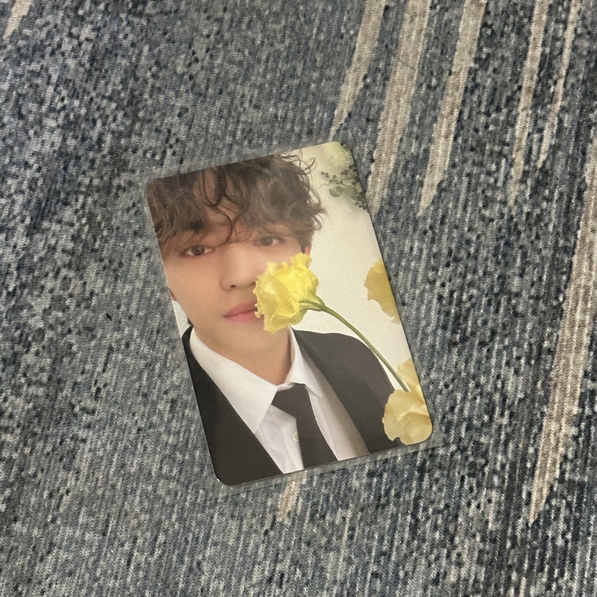 s.coups 克拉盤卡 油彩/西裝