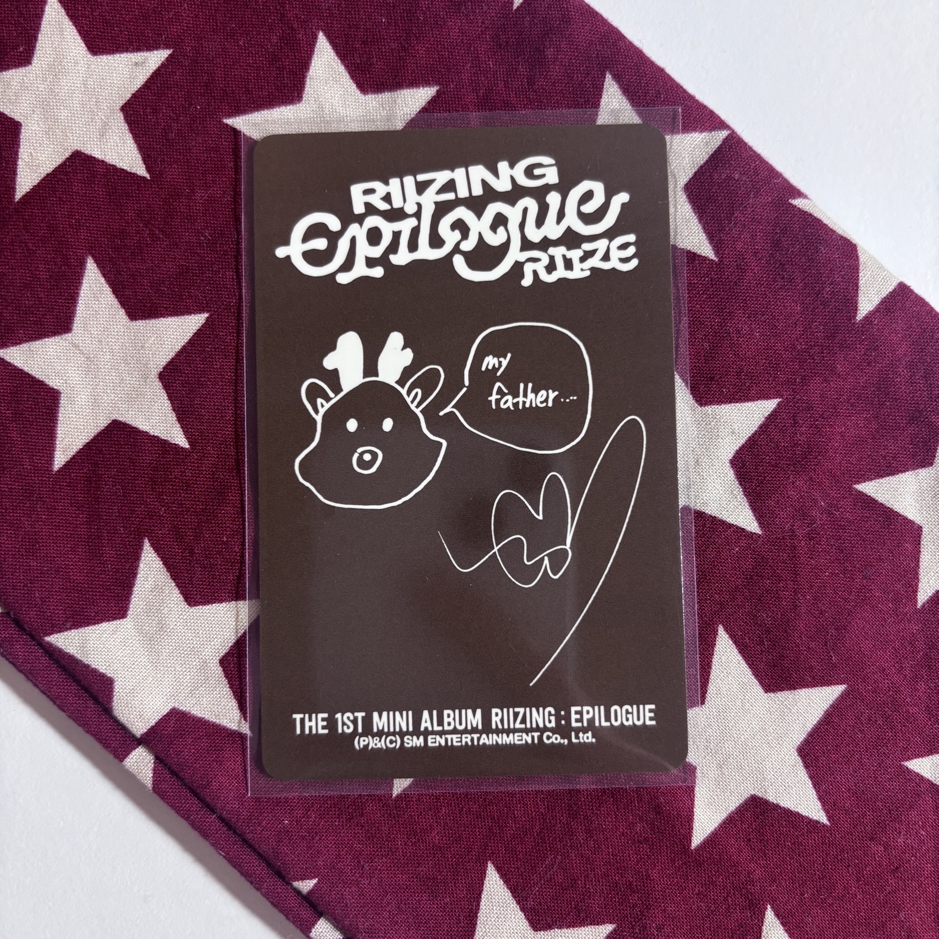  ﾟ𖤐.⋆﻿Riizing epilogue travel bag版專卡 燦 ⋆.˚⊹⁺