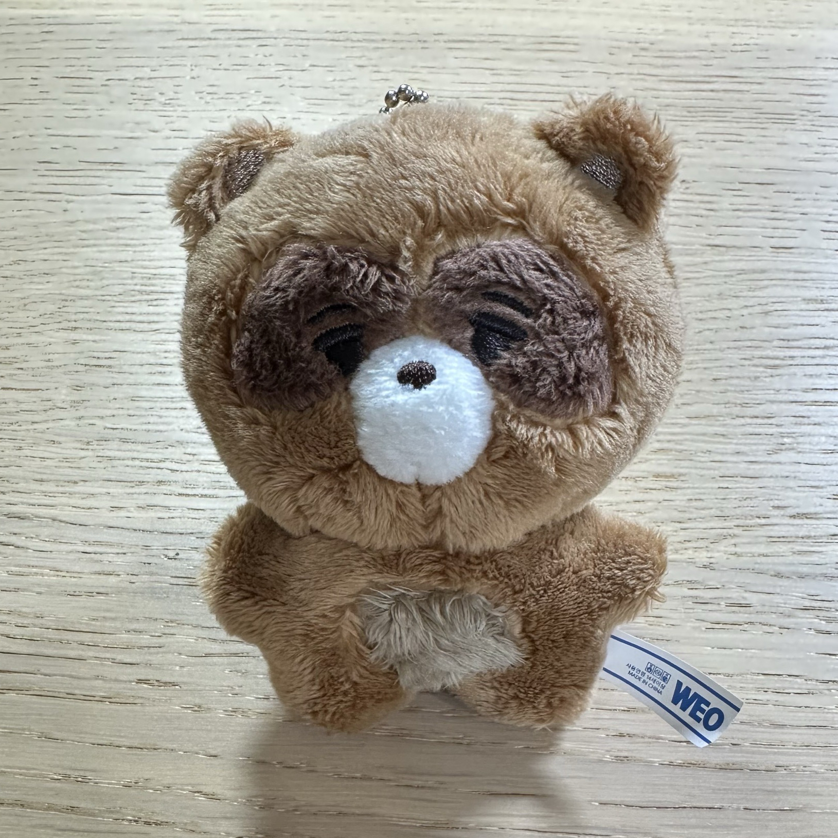 THE BOYZ TBZ 金善旴 普眼小浣熊