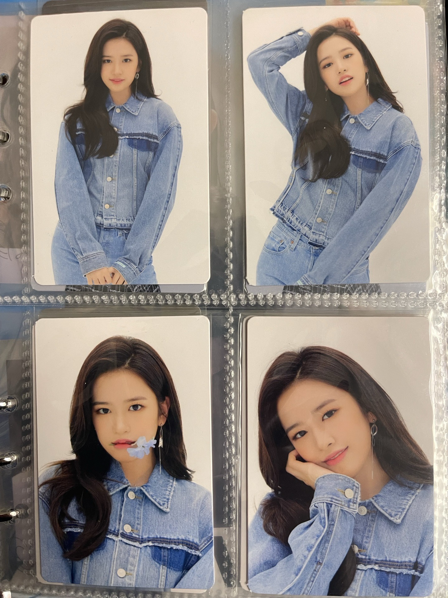 矮丸演唱會安 整圖出