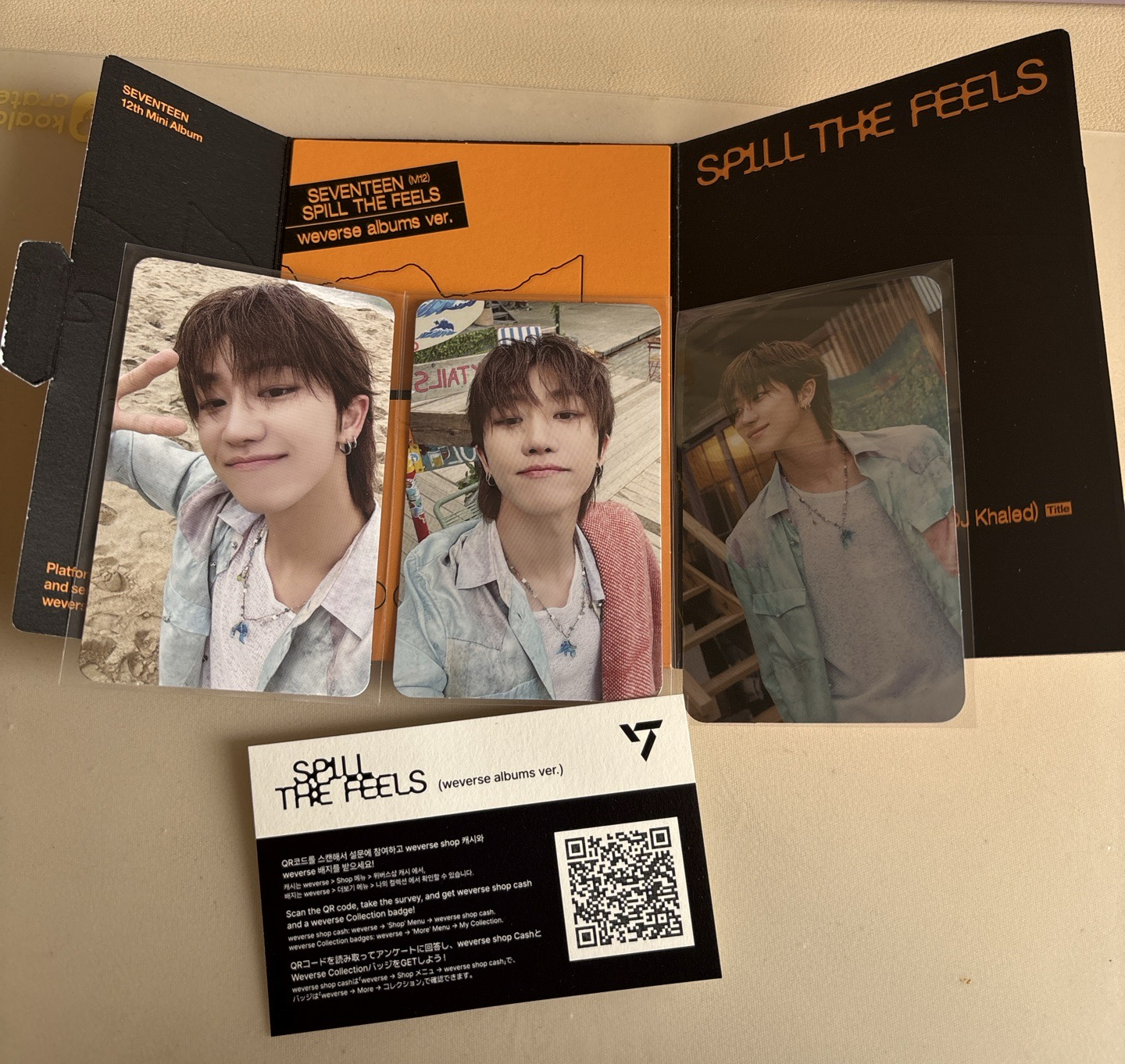 迷12 wvs專 -八（未掃）