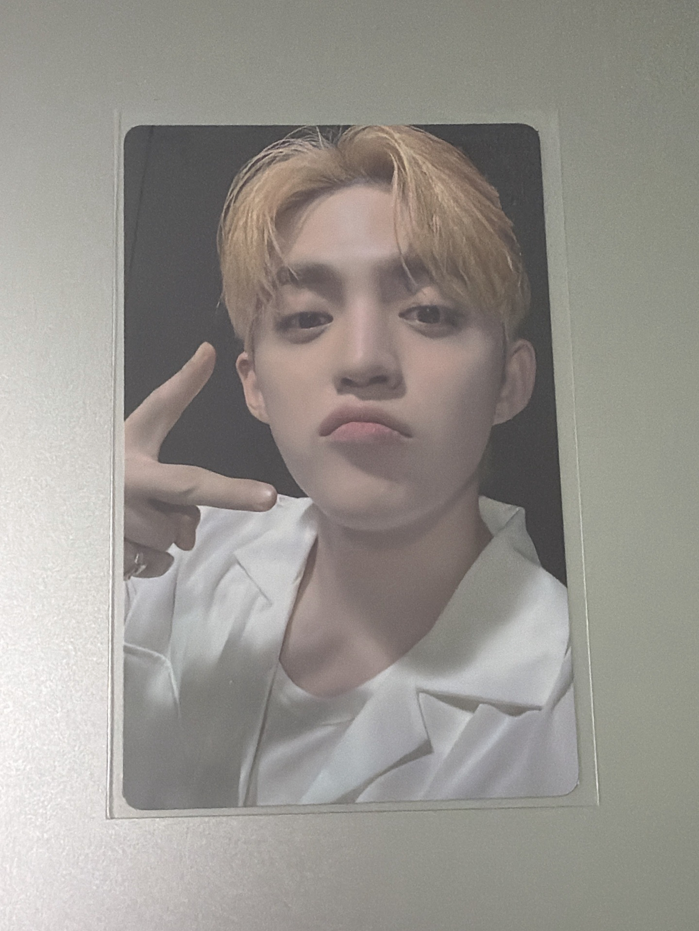 🤍崔勝哲 迷十二 wvs特典