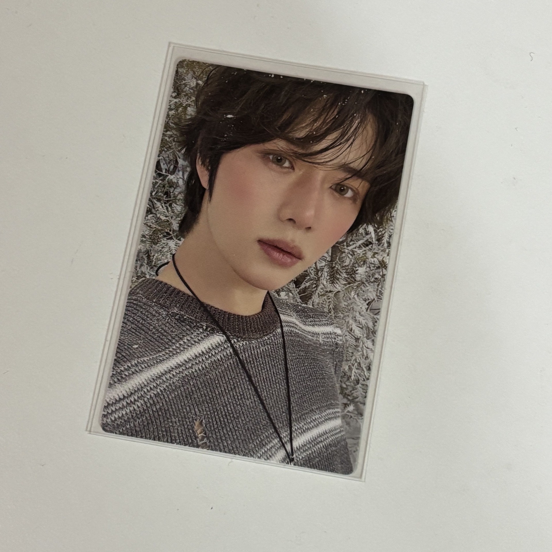 杋圭 日專 小卡