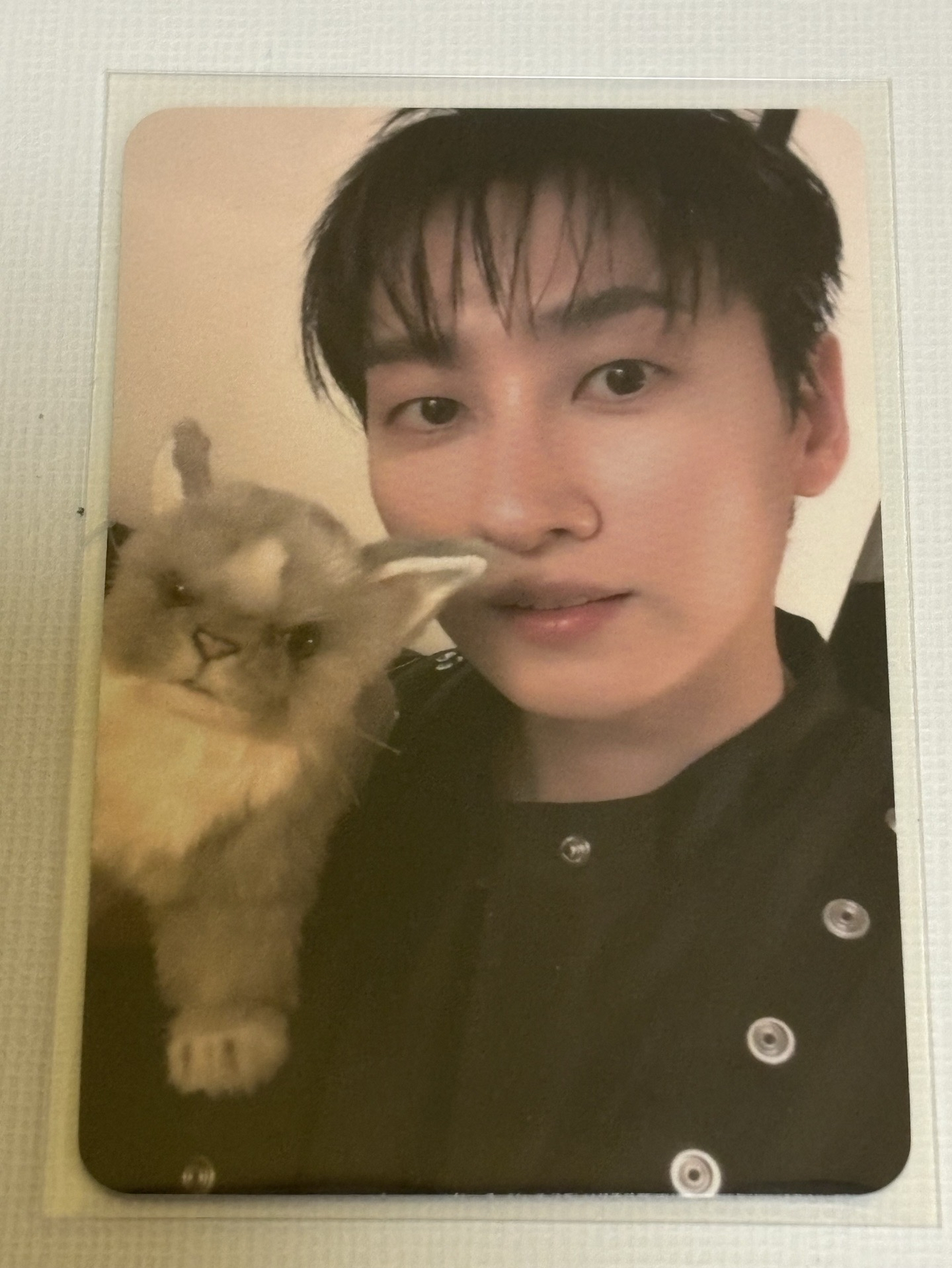 D&E 迷六 專卡 銀赫 李赫宰