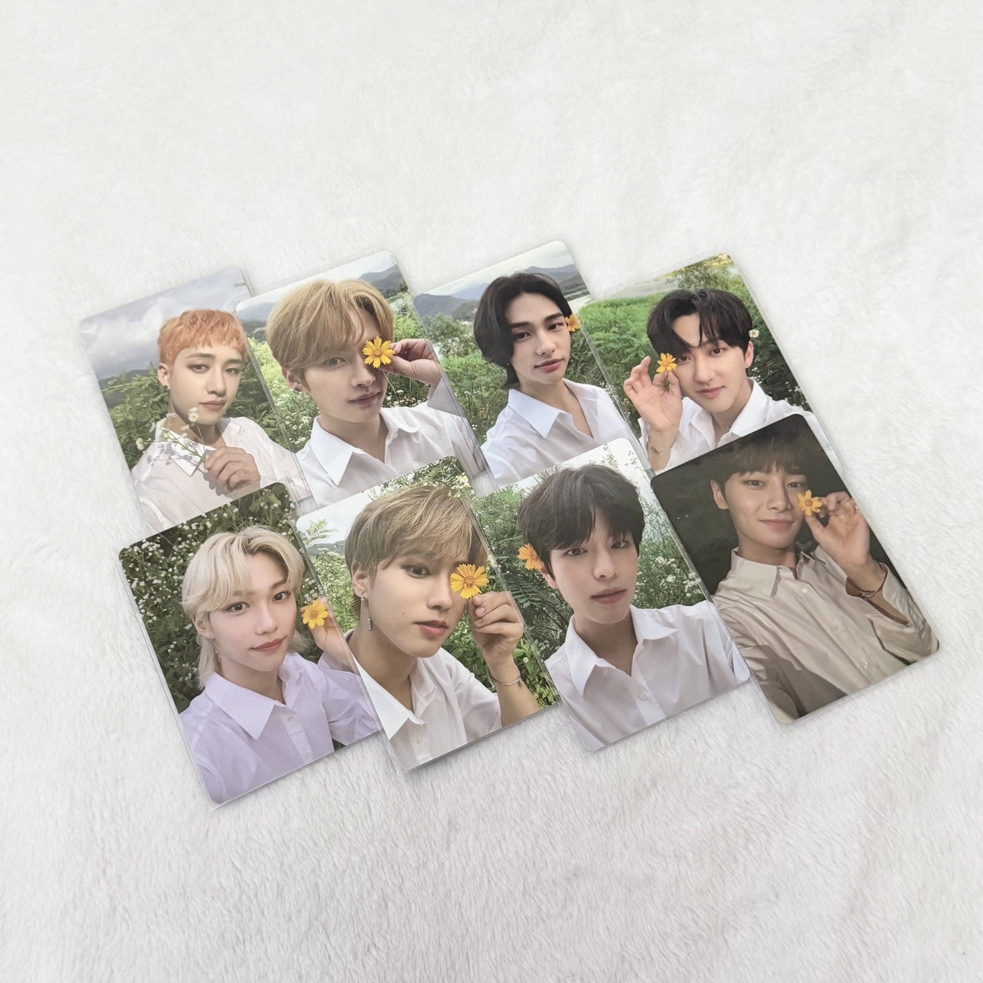 STRAY KIDS 花花卡