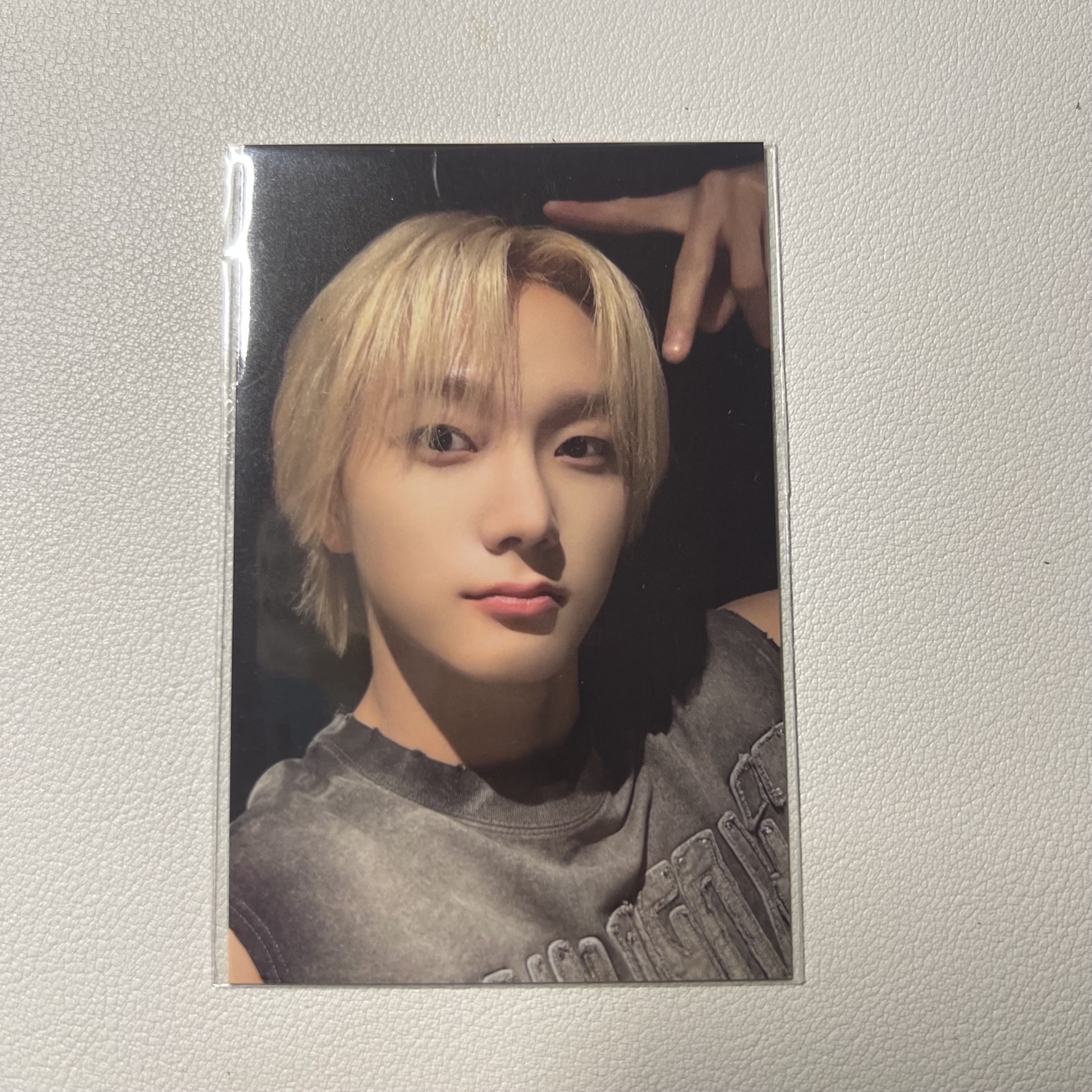 貓貓貓貓貓貓貓🐱