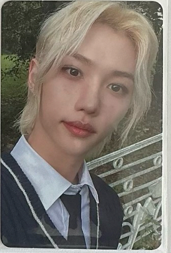 STRAYKIDS Felix ｜樂-STAR 快閃店滿額卡B