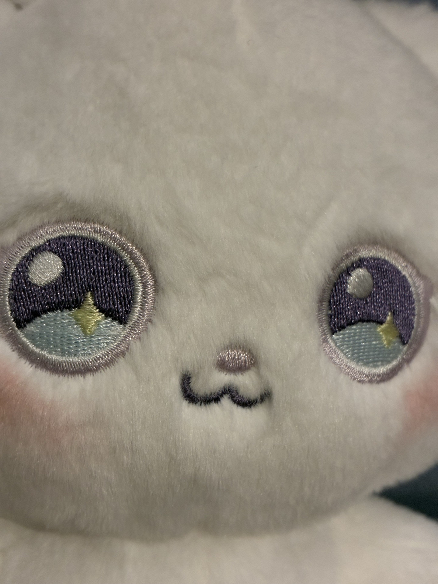 全新的！！這個是示意圖