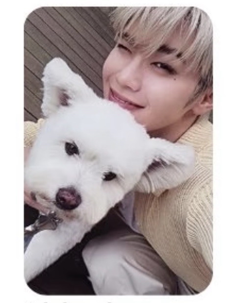 正規一 狗狗 ver.專卡