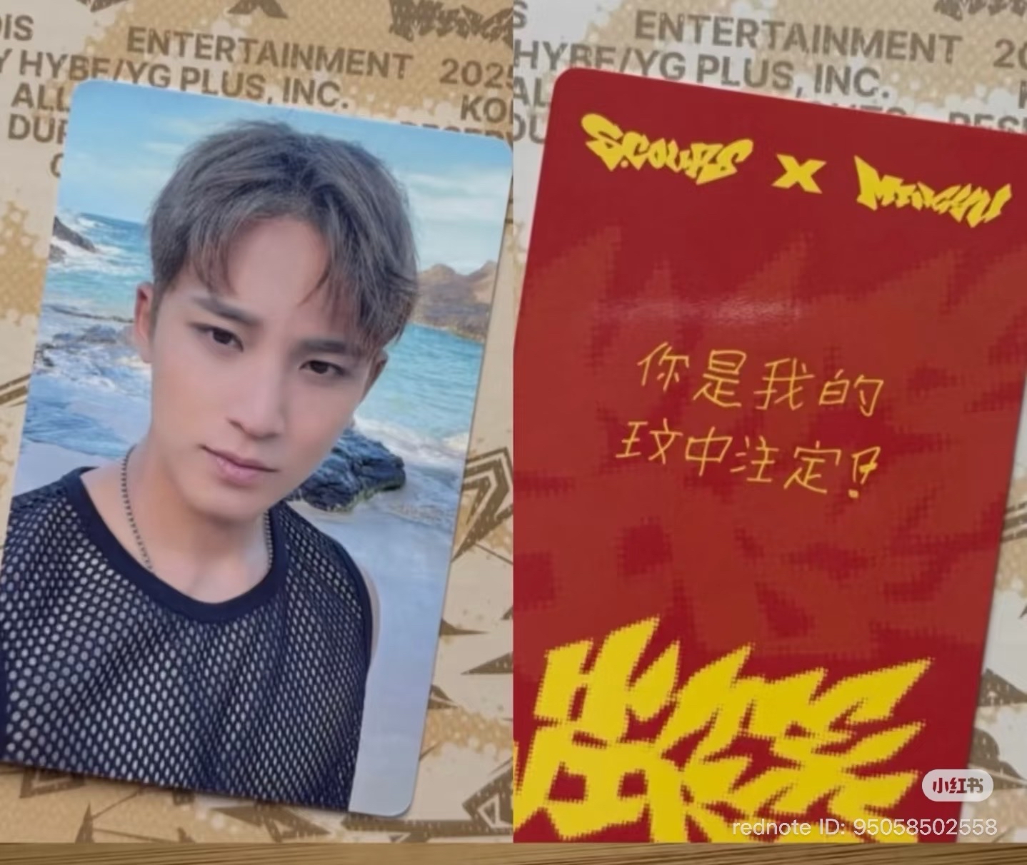 奎 中背+c盤奎封未拆專