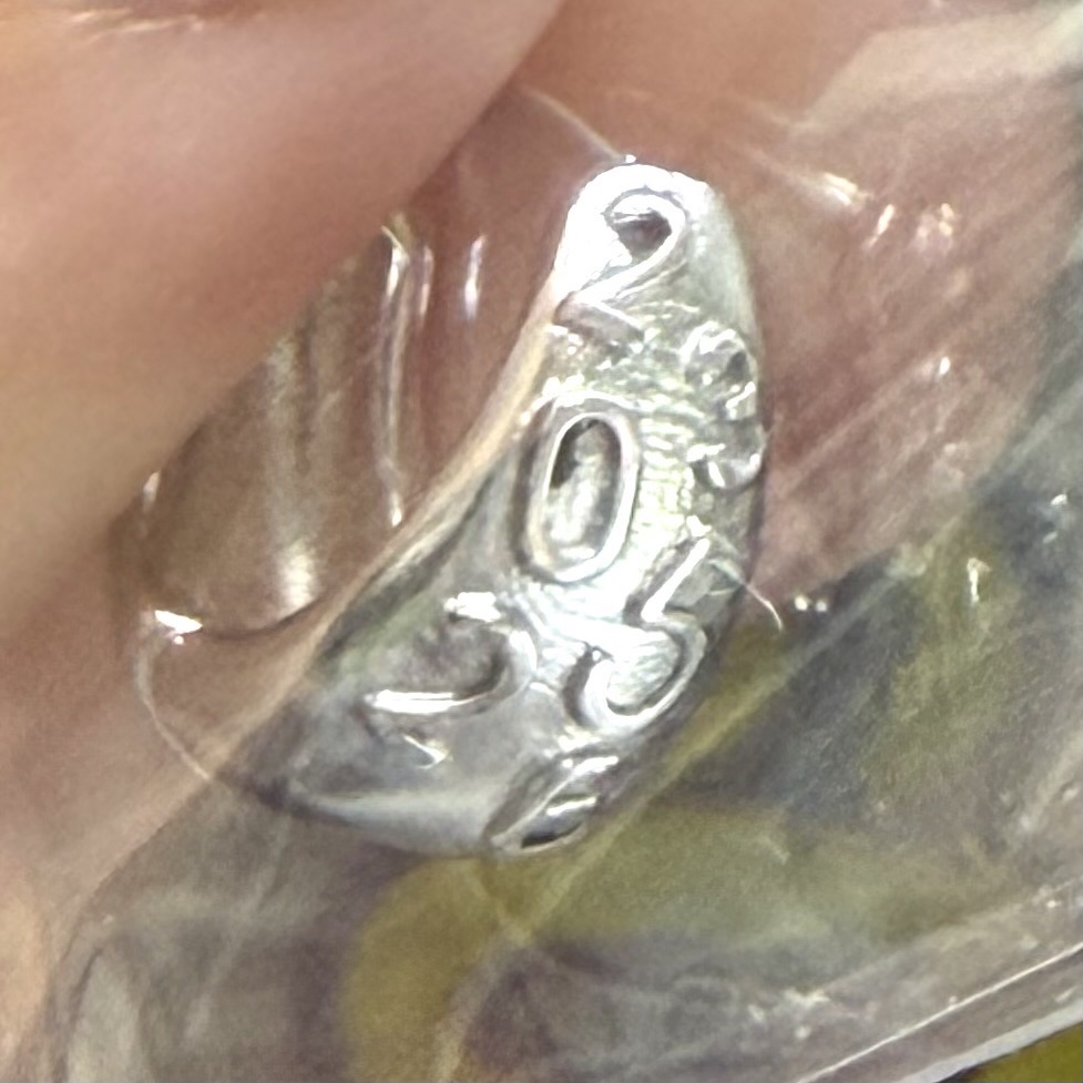 Seventeen 8th Anniversary 耳環 崔瀚率 VERNON（綁1）