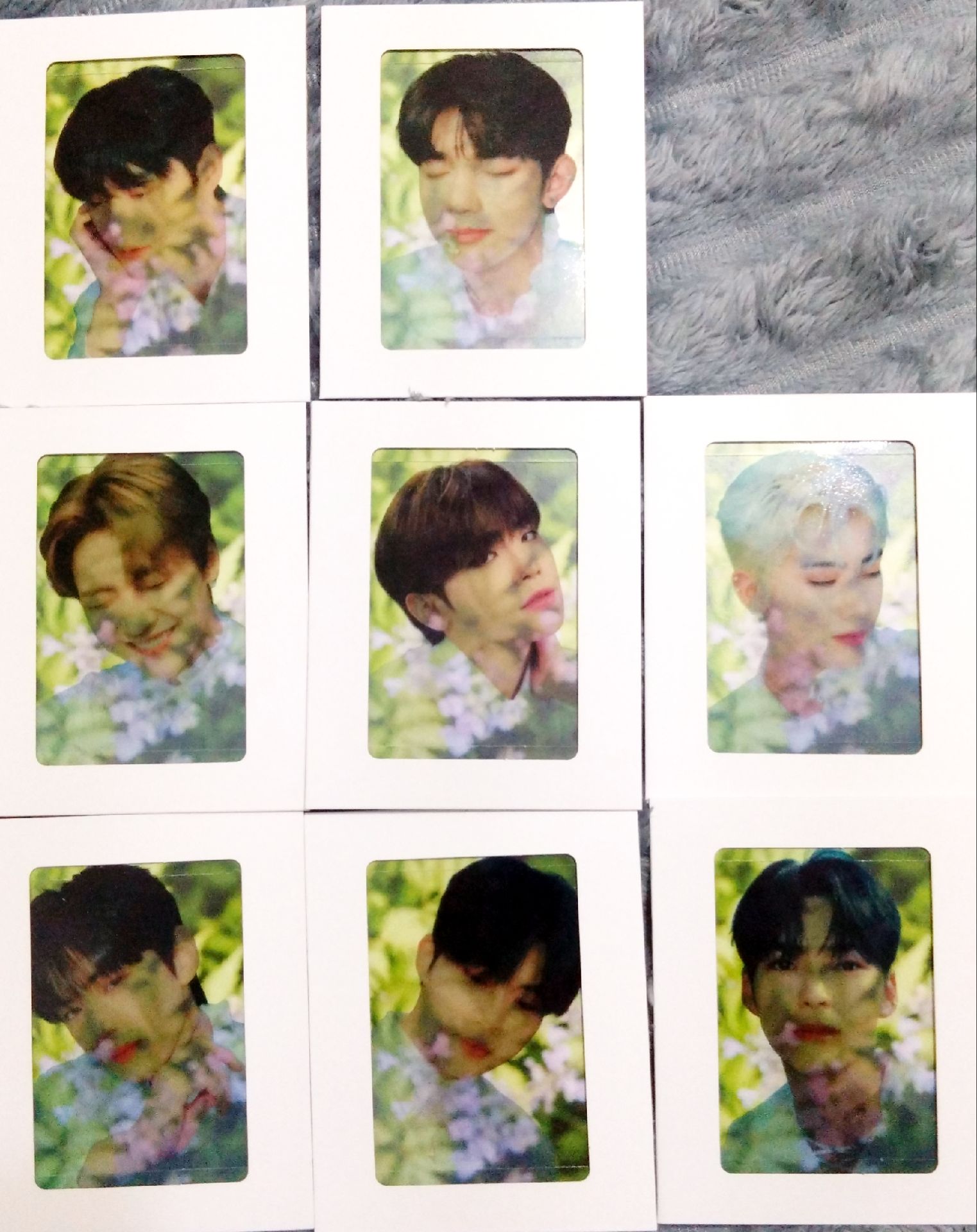 ZB1 | 出道專 大卡 透卡 整套出