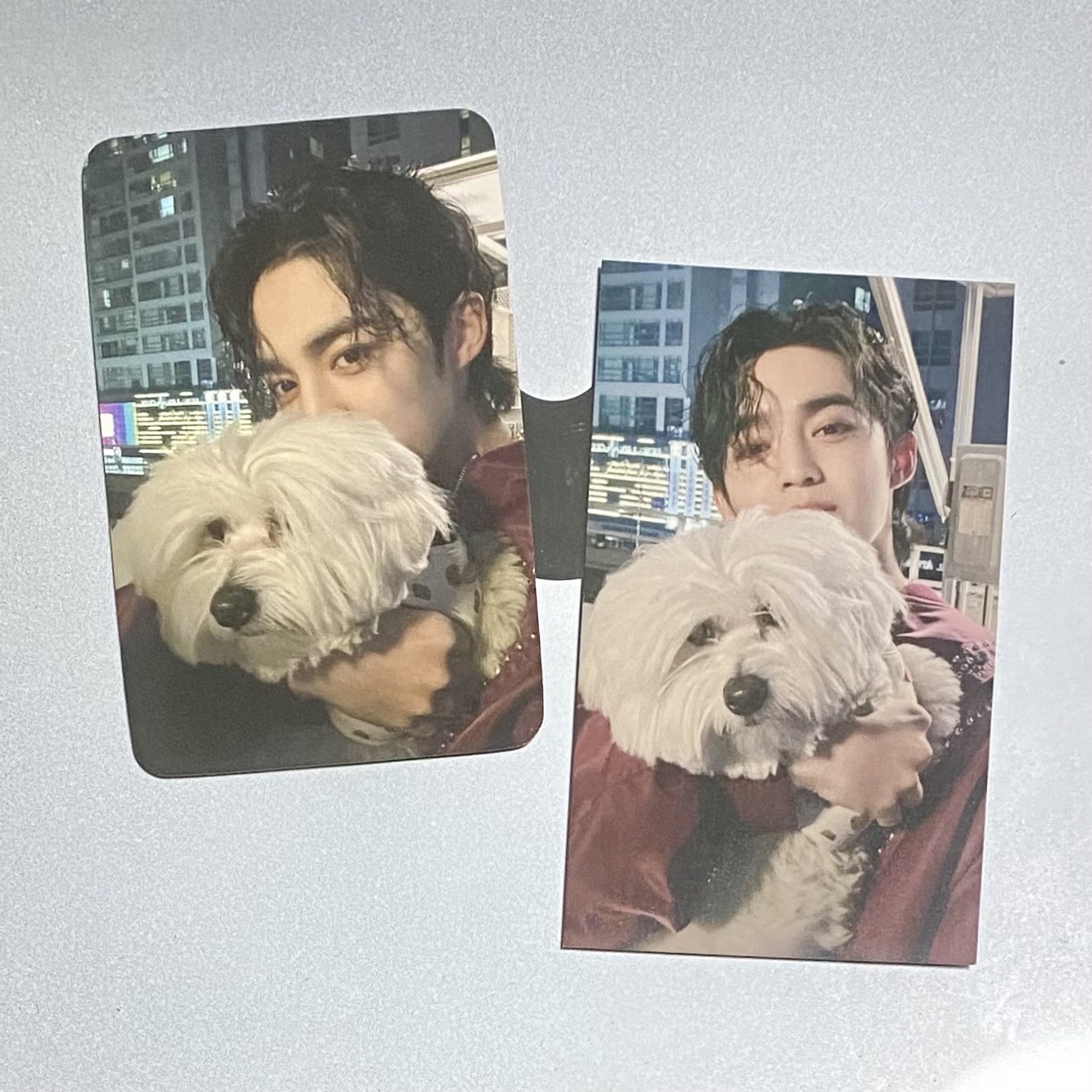 seventeen 迷10 圓角/直角紅薯哲 mp簽售卡 環球東京場限