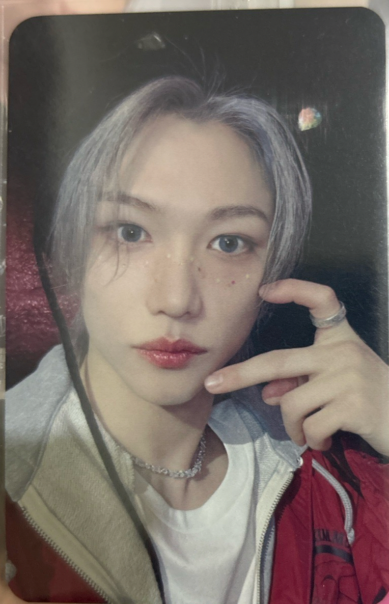 五星 bdm通路特典 菲