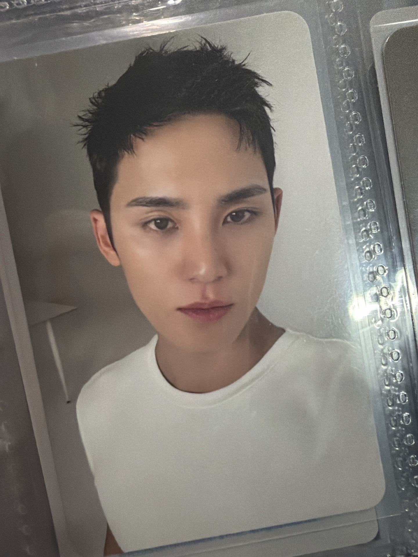 精選專 專輯卡 精選輯｜CARAT ver.