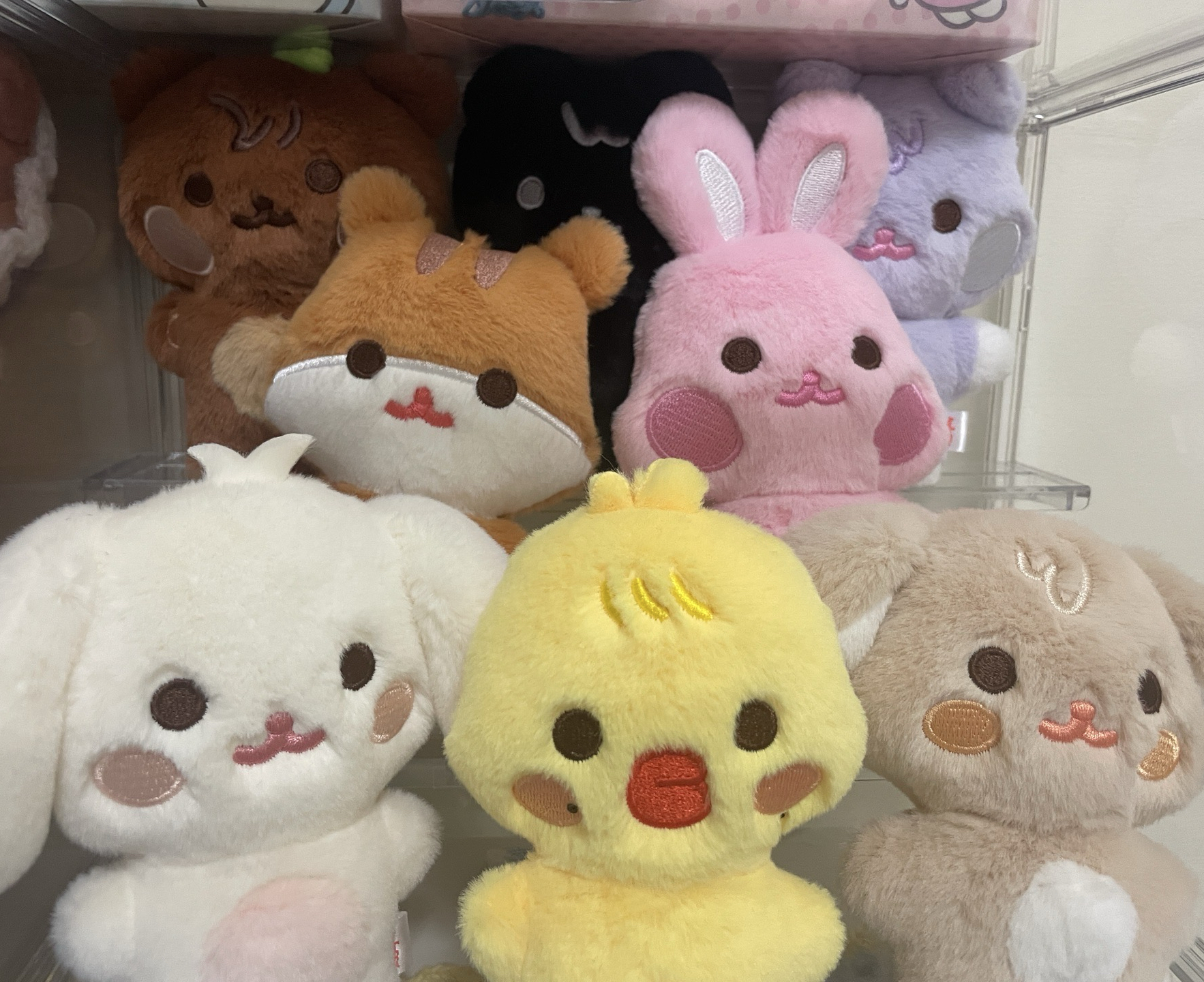 ANITEEZ 豆豆眼娃 全員set