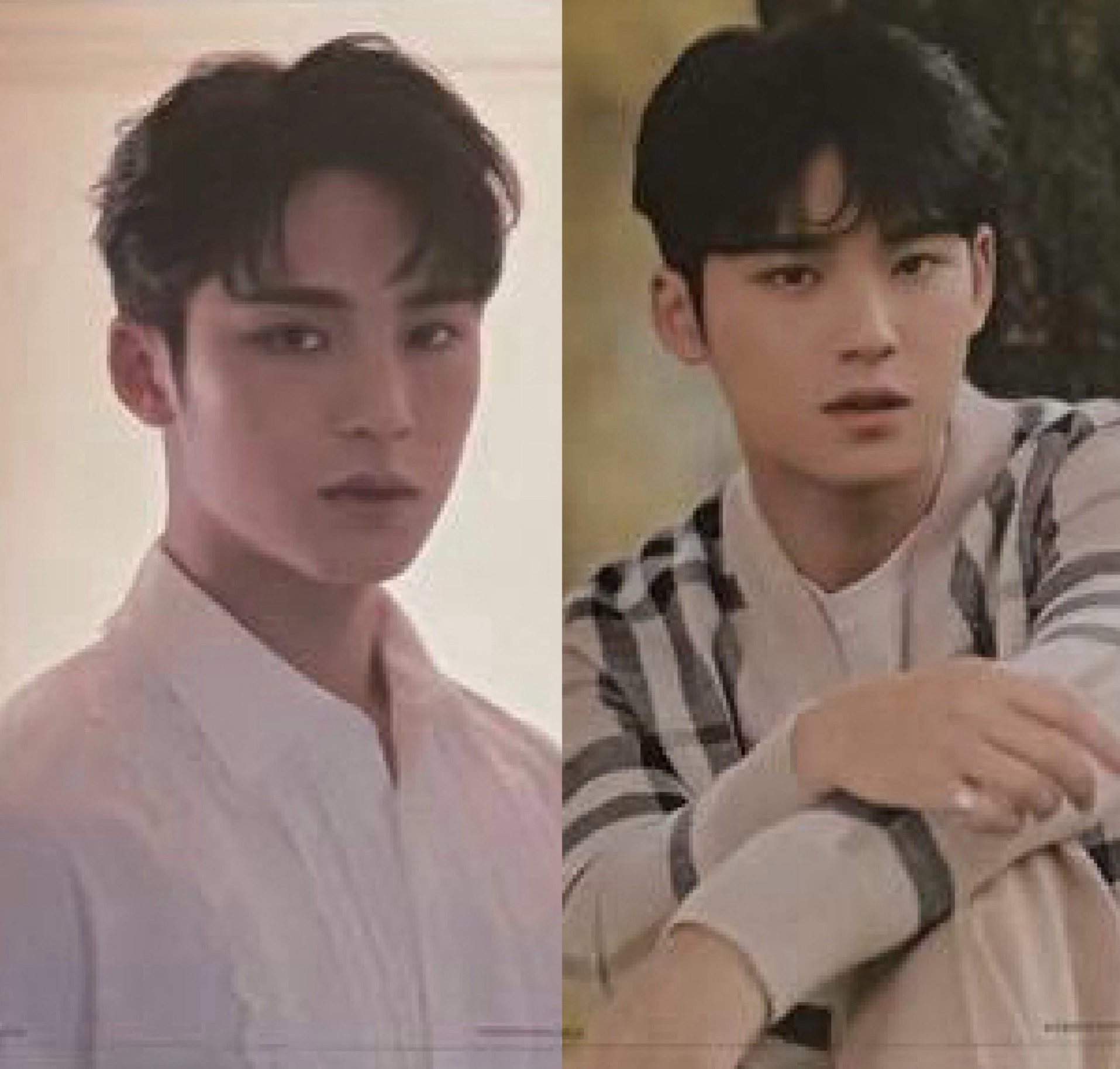 SOCIAL CLUB 大卡(免包手)