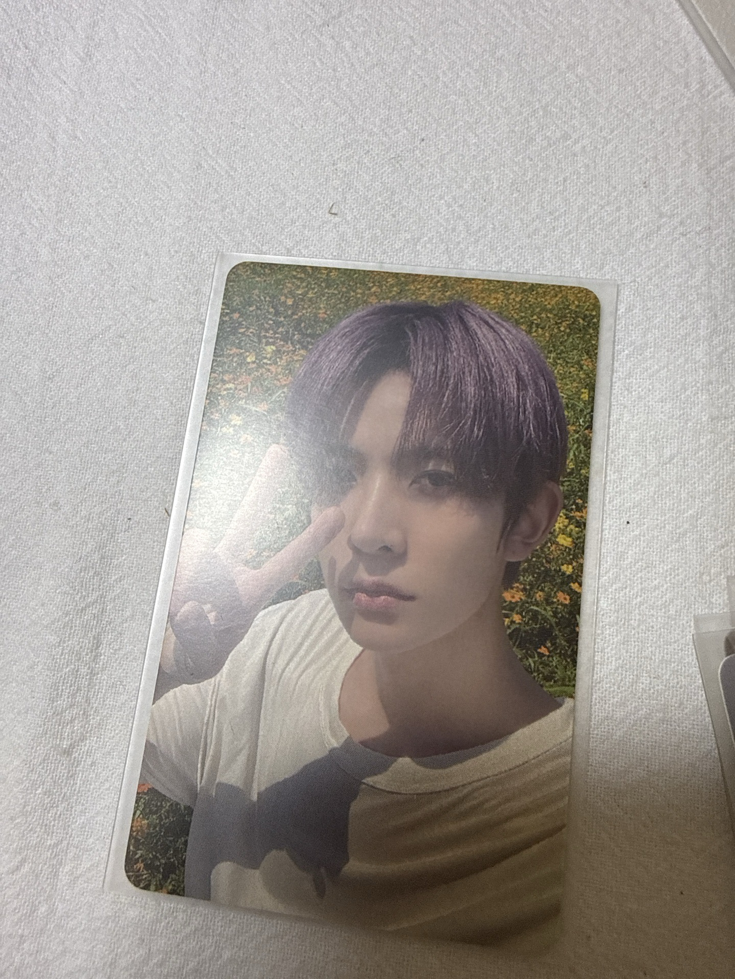 fate首爾安可線下特典隨機卡