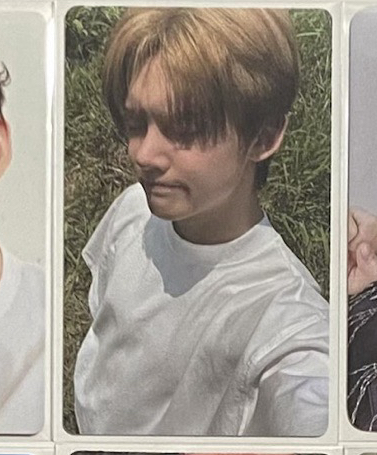 草地小竣（需多帶150含以上）/290直出（私訊給專拍）