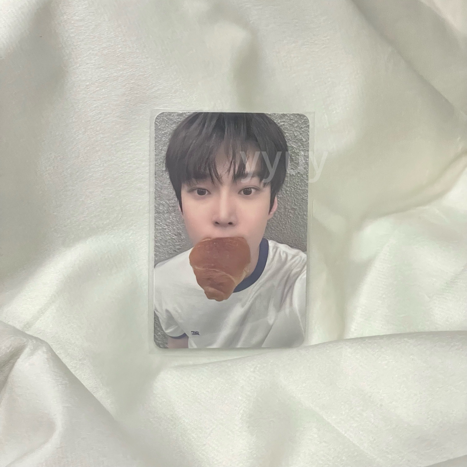 金道英Doyoung SM幸運卡 麵包貂