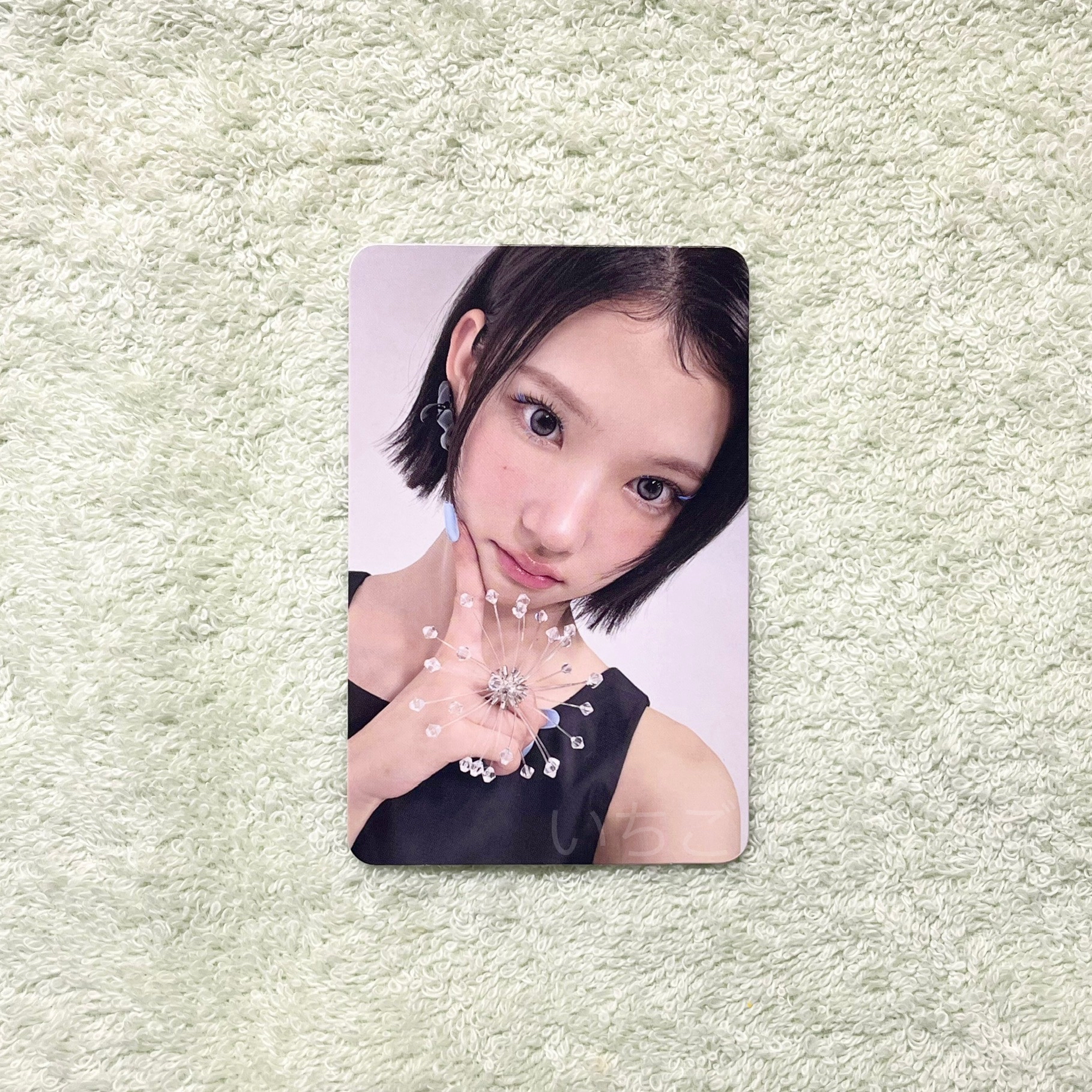 Jiwoo🍓FOCUS RULE BOOK版專輯小卡