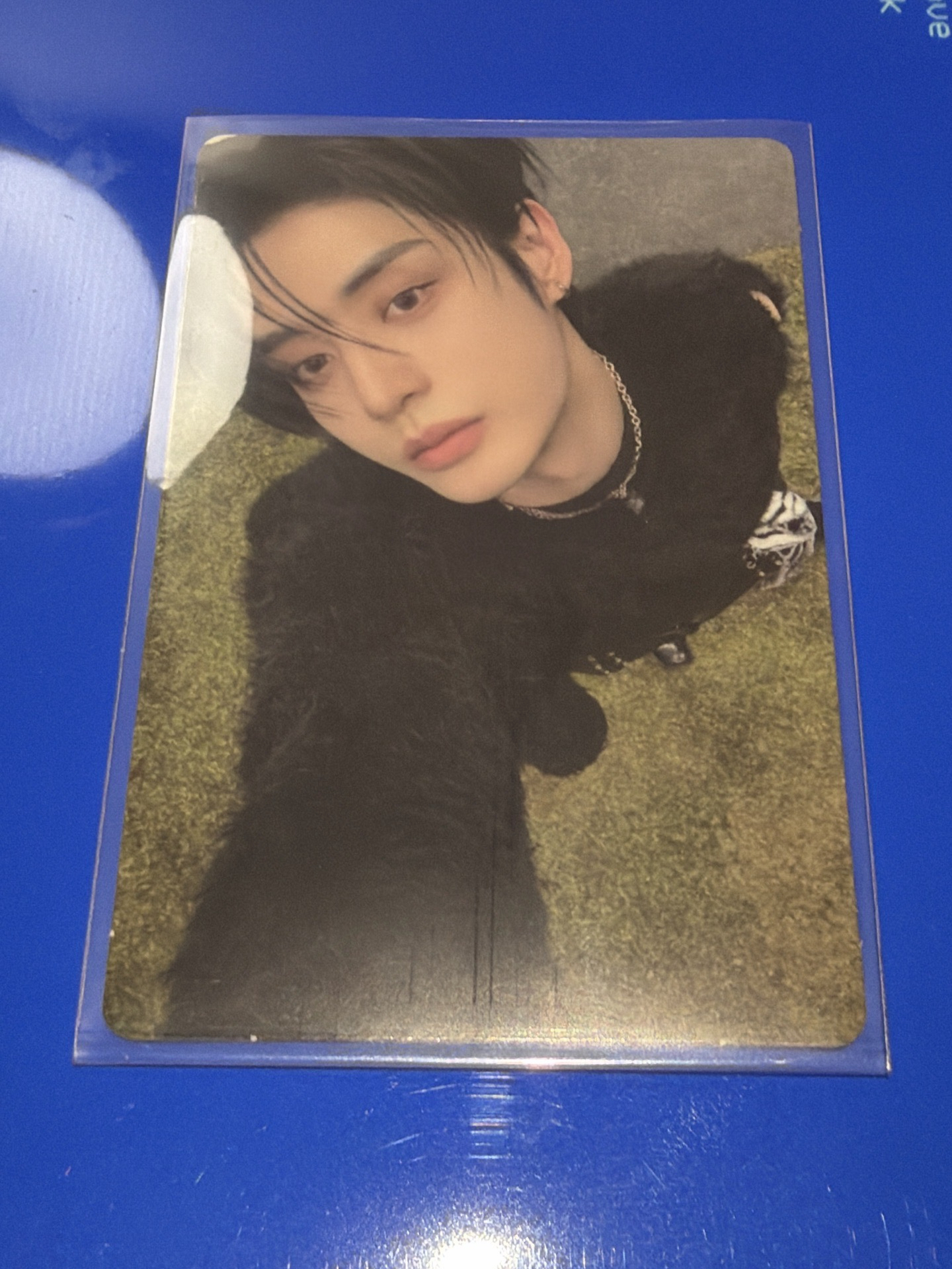 🐈‍⬛ 迷五 專卡 