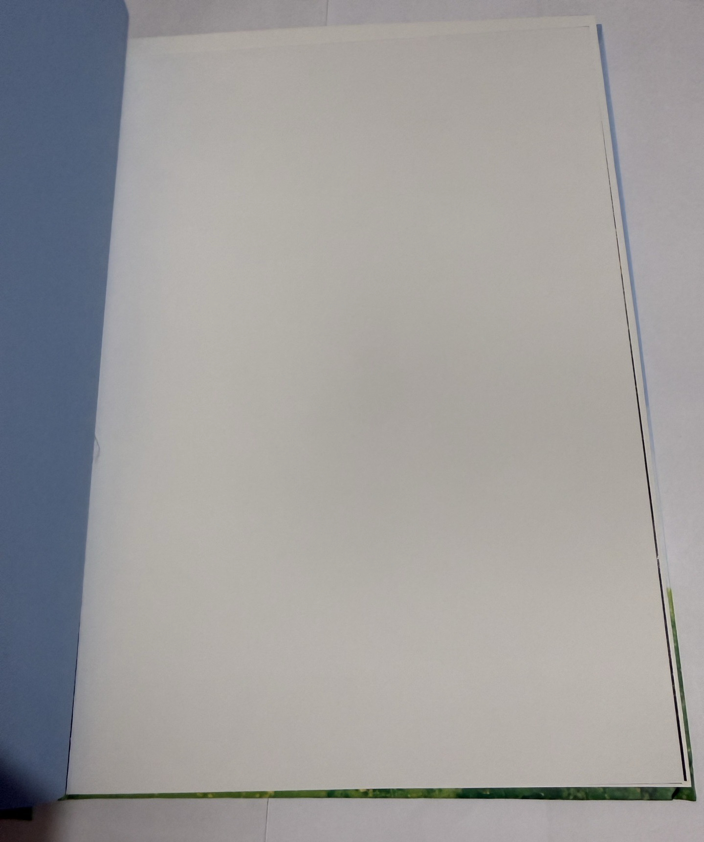 六夏空專（不含小卡、貼紙、書籤，僅含海報）