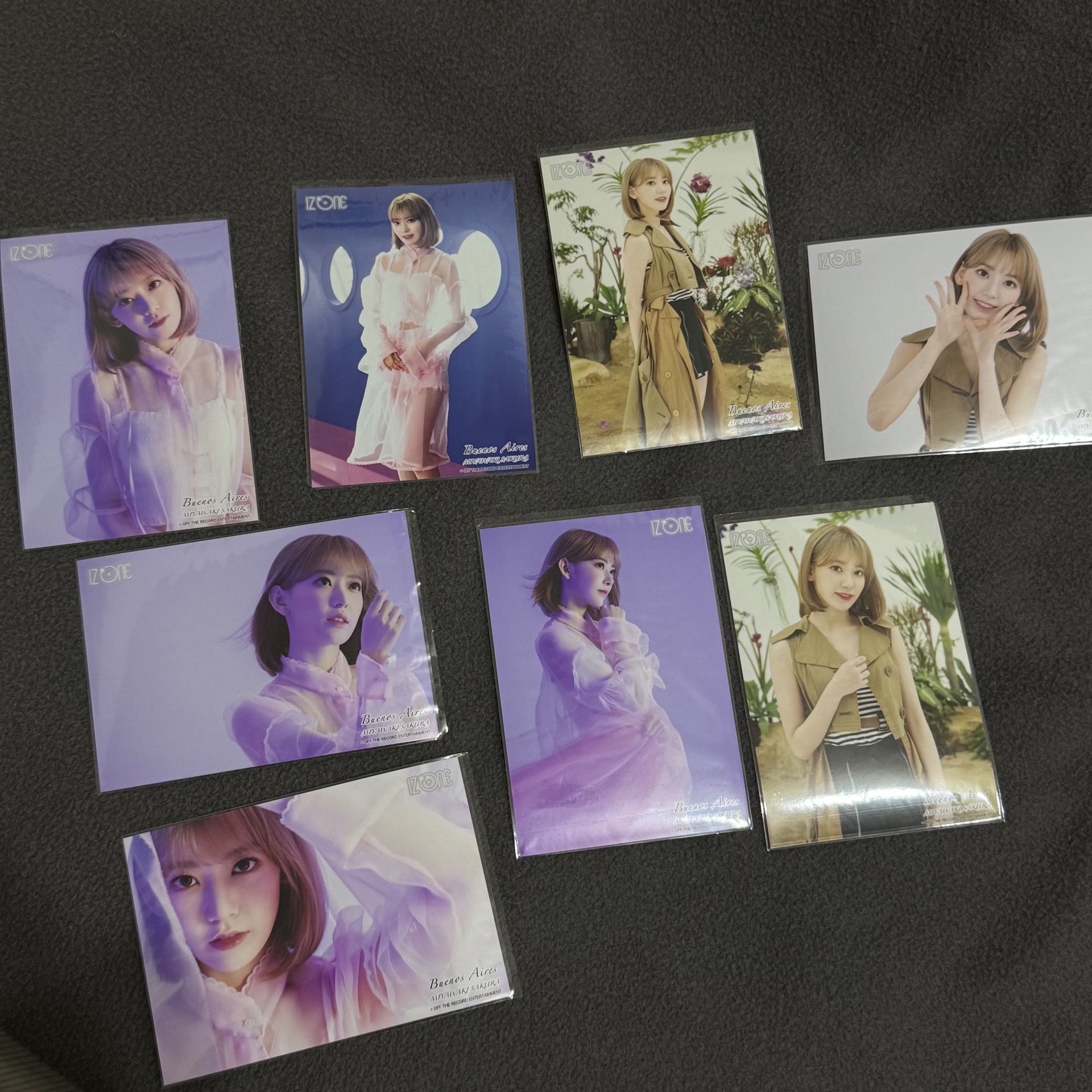 現貨 IZONE Sakura 日本生寫真 Buenos Aires TypeA 