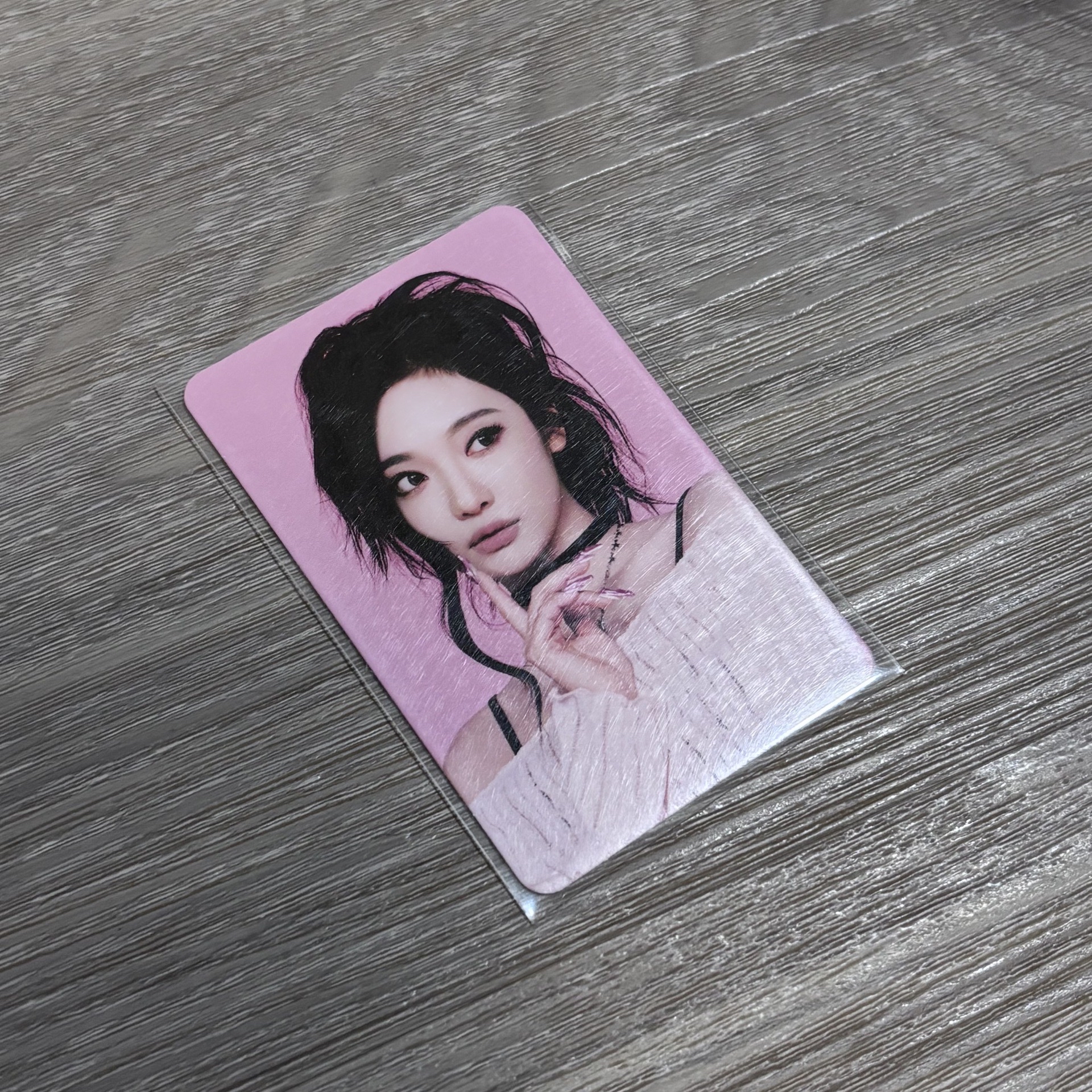 家族隨機卡官拍寧