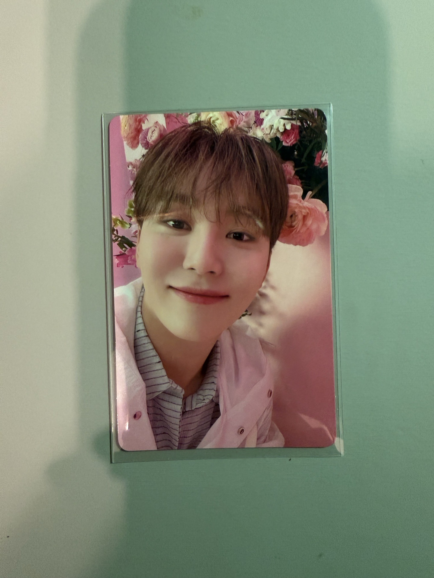 寛 通常盤專卡🩵