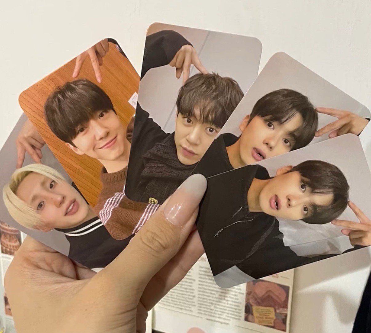 台灣場 貓耳朵永才