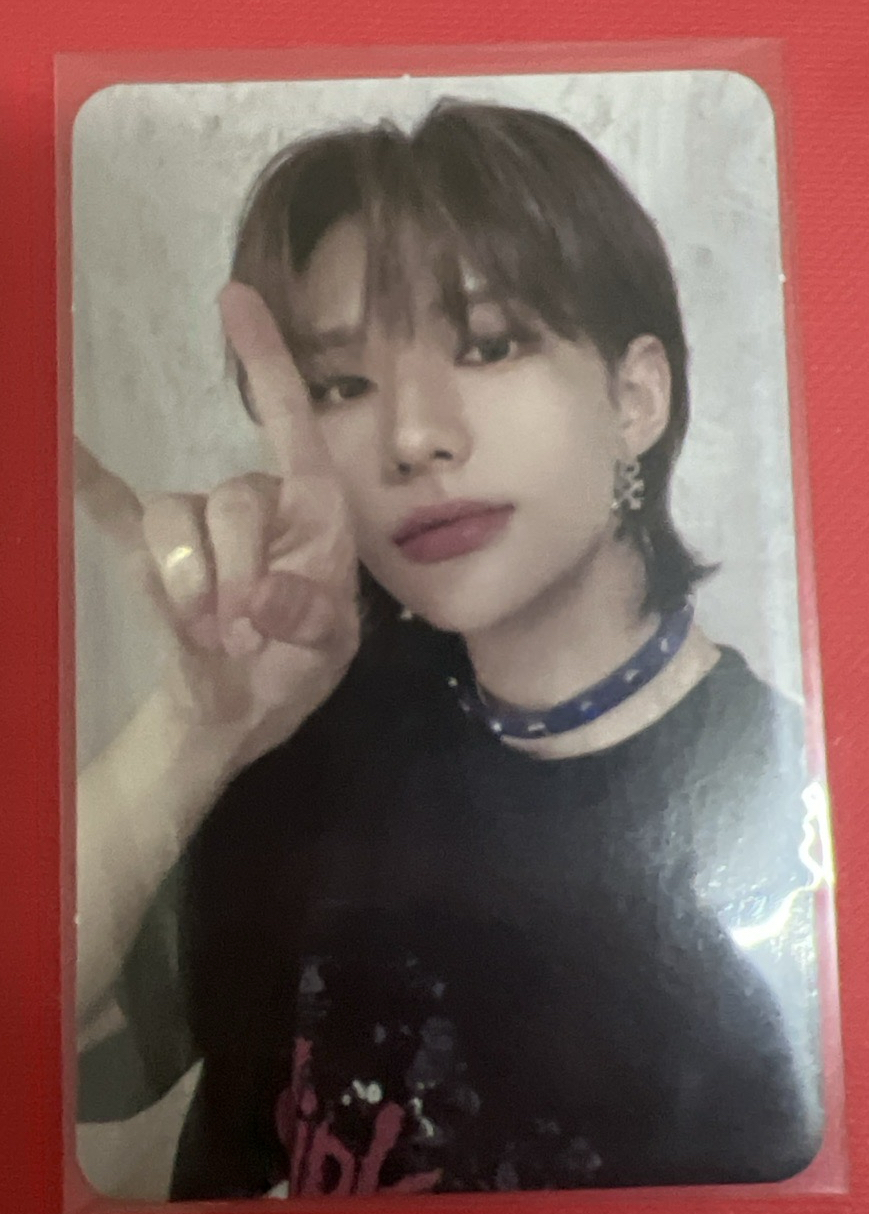 Maxident 一直娛辰