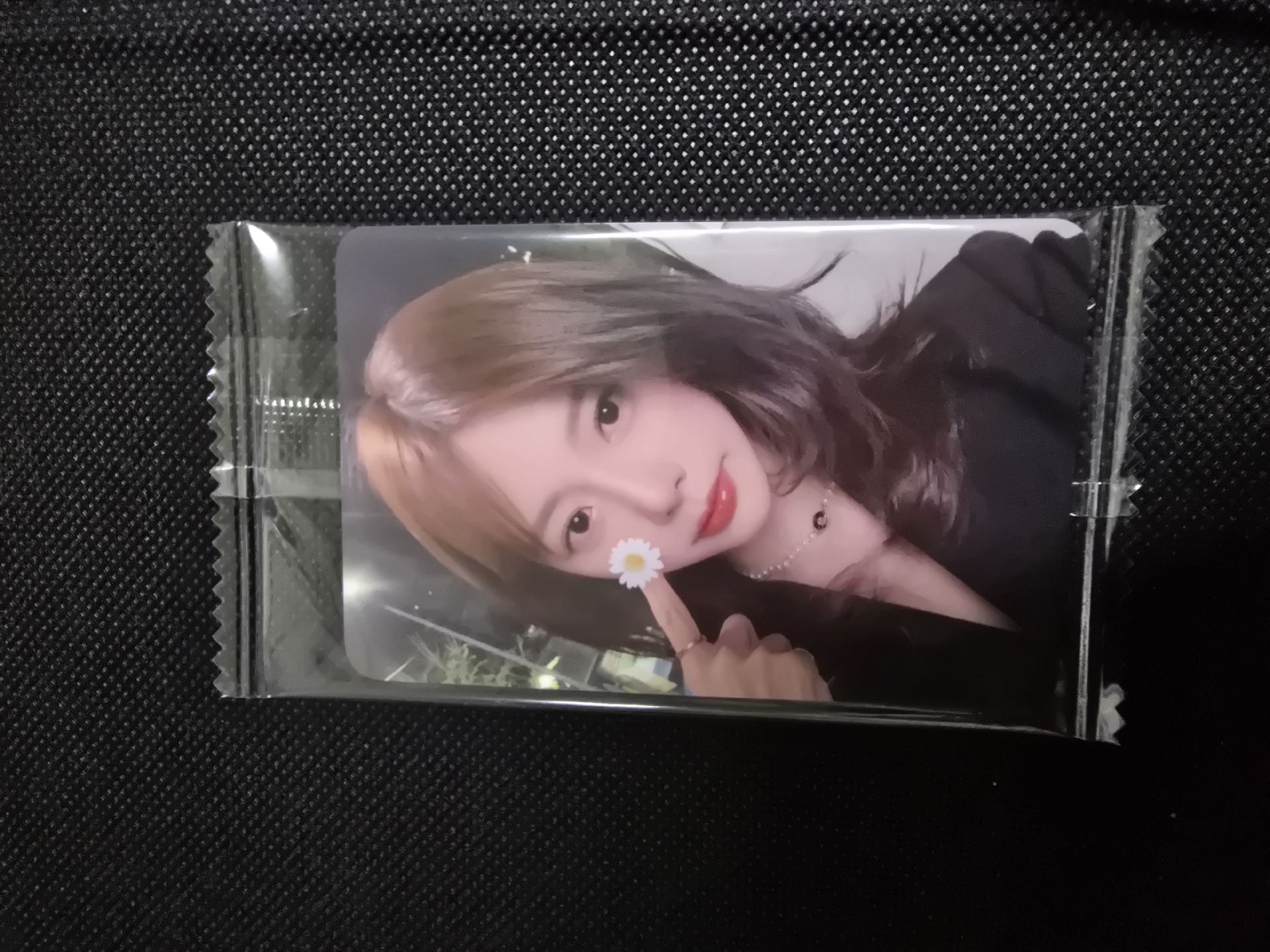 K4 1.0 祉攸 雛菊