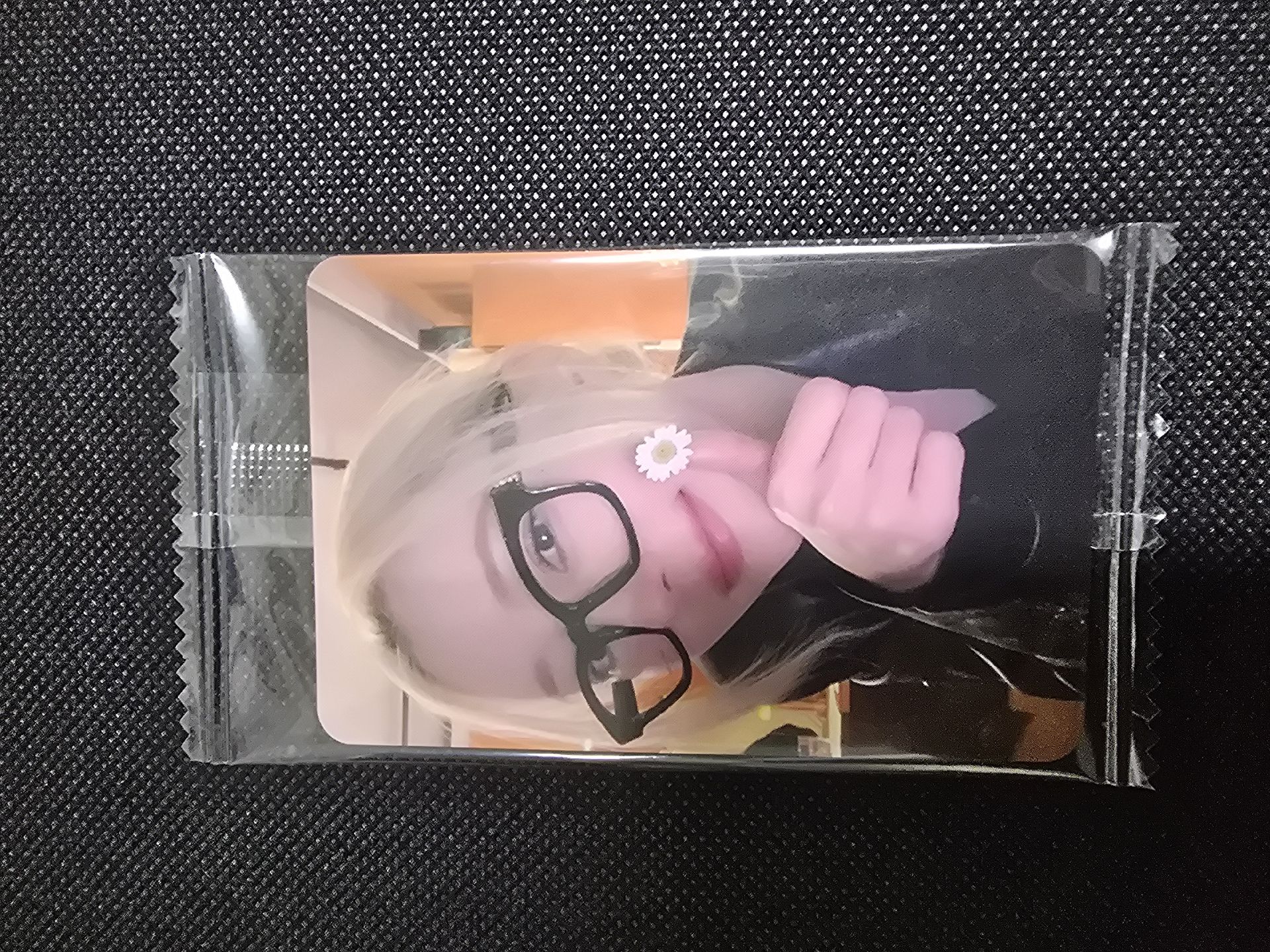 K4 1.0 秀雅 雛菊