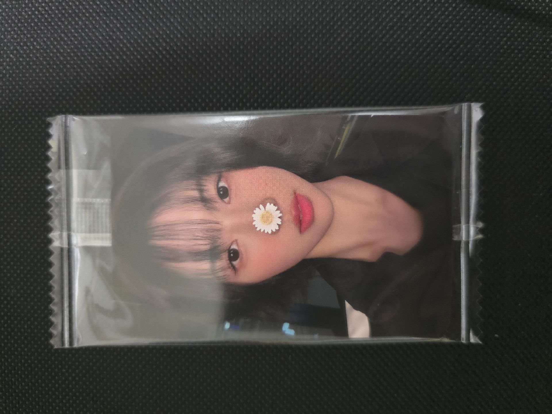 K4 1.0 裕賢 雛菊