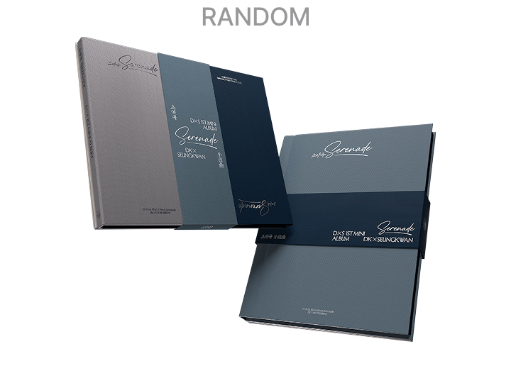 DXS 未拆專+wvs+fp特典