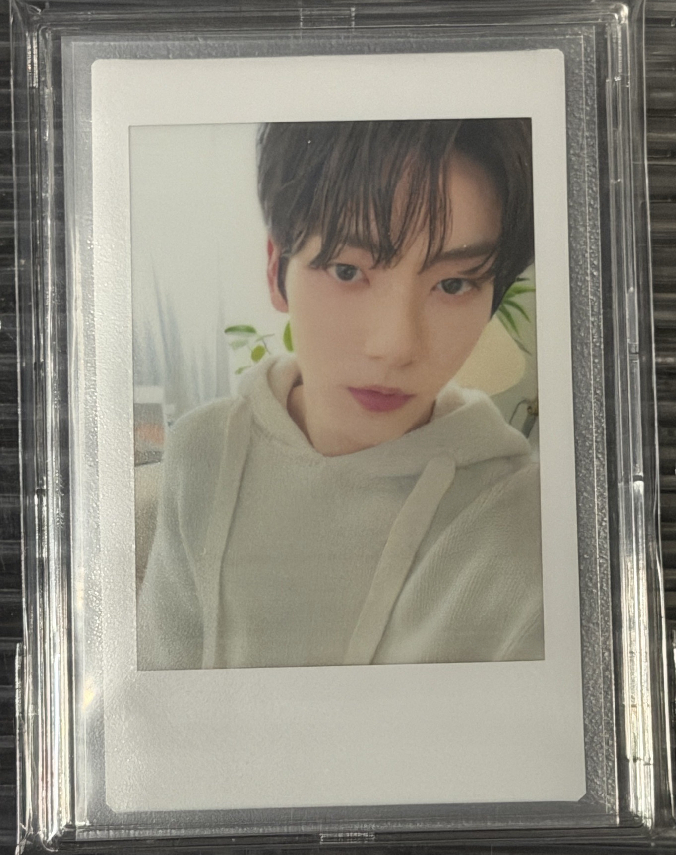 🔅2024 DREAM WEEK 隨機卡 拍立得