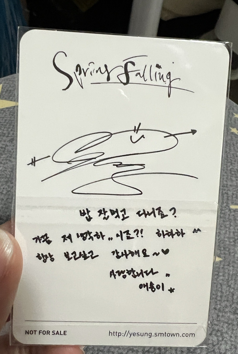 Yesung 迷二專輯小卡