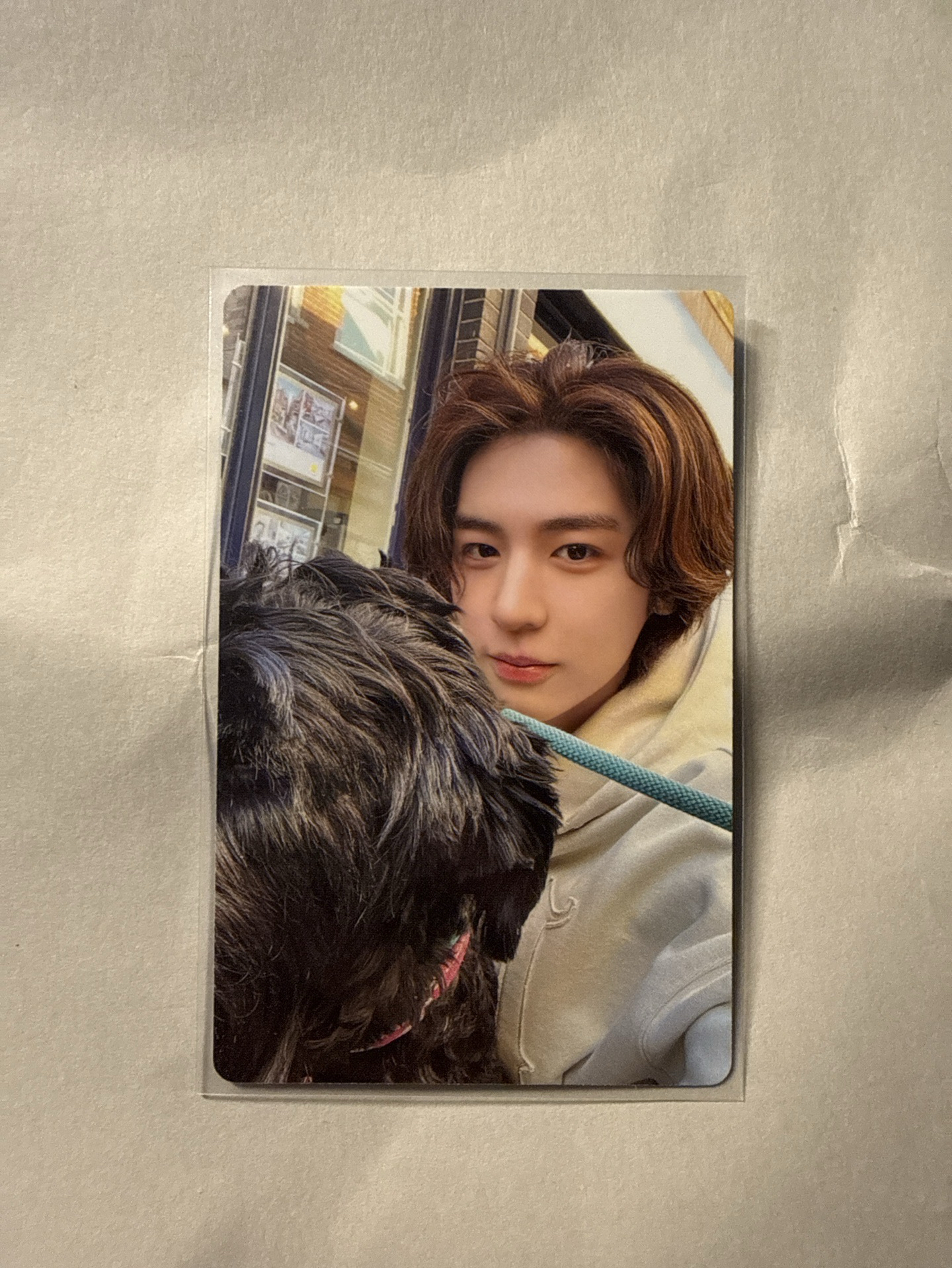 HOW 單封專卡 Sticker ver.