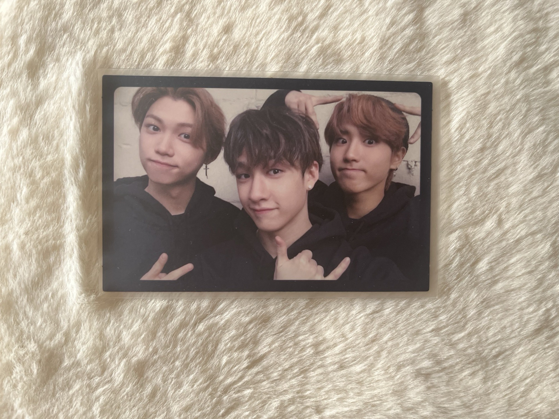 i am not專卡/燦城菲