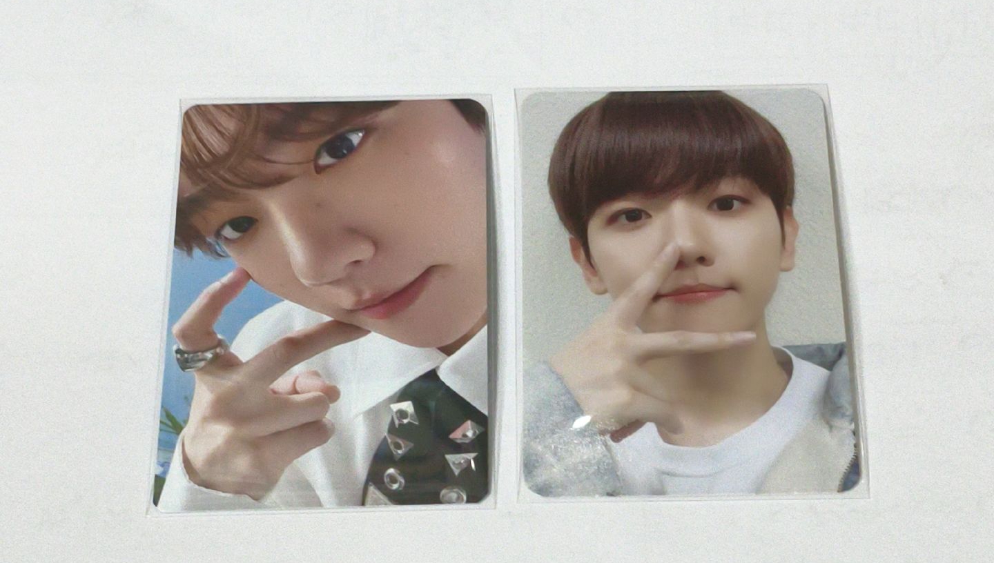 伯賢 DON'T FIGHT THE FEELING 小卡