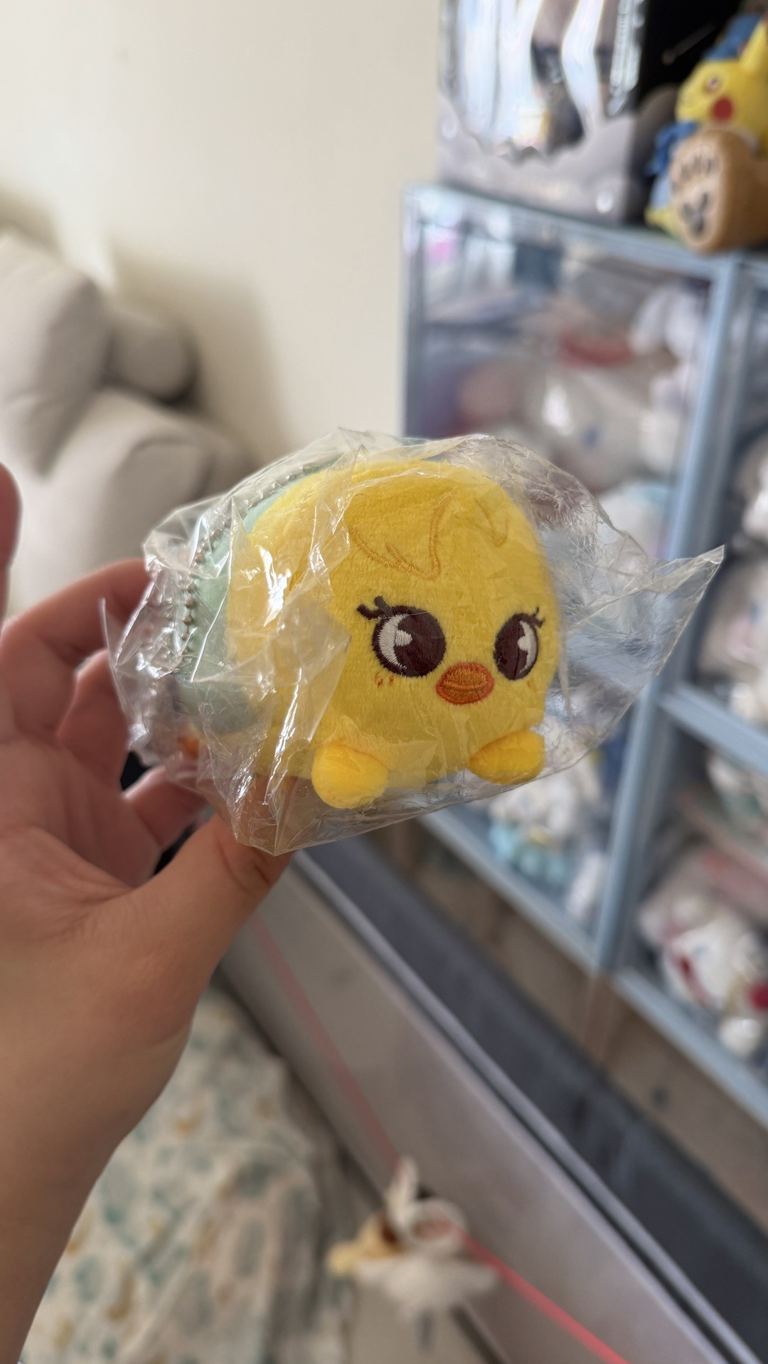 SKZ straykids 日周趴娃 菲 bbokari